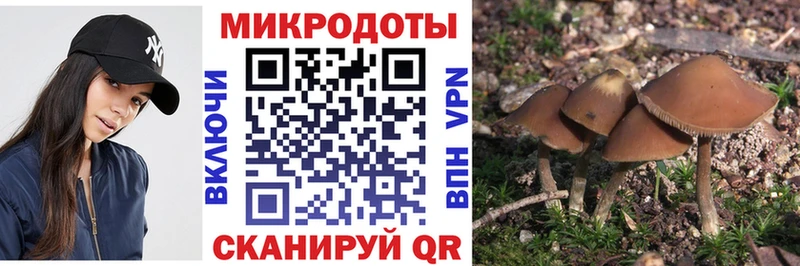 Галлюциногенные грибы Magic Shrooms  где продают наркотики  Чегем 